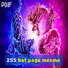 255 bet paga mesmo